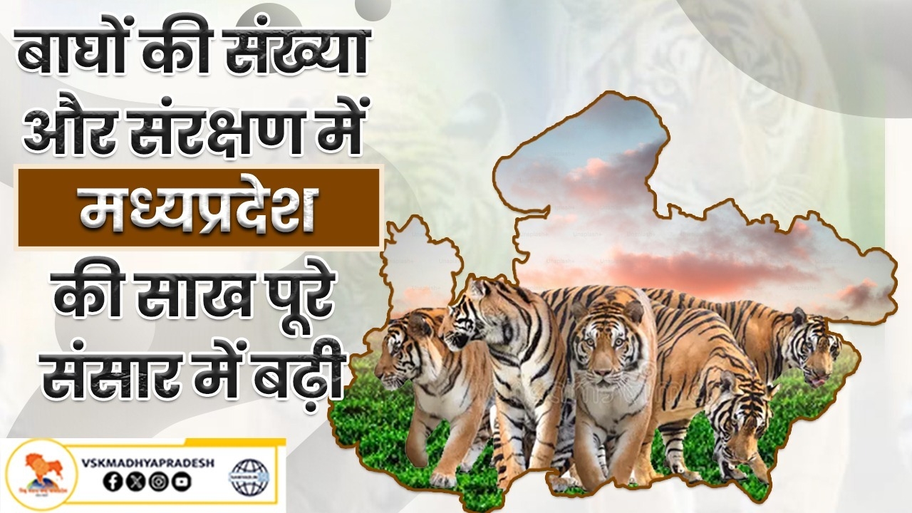 बाघ 